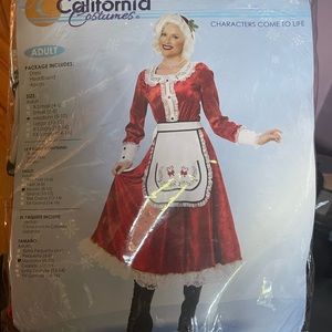 Mrs Claus womens costume